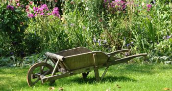 Comment entretenir facilement son jardin ?