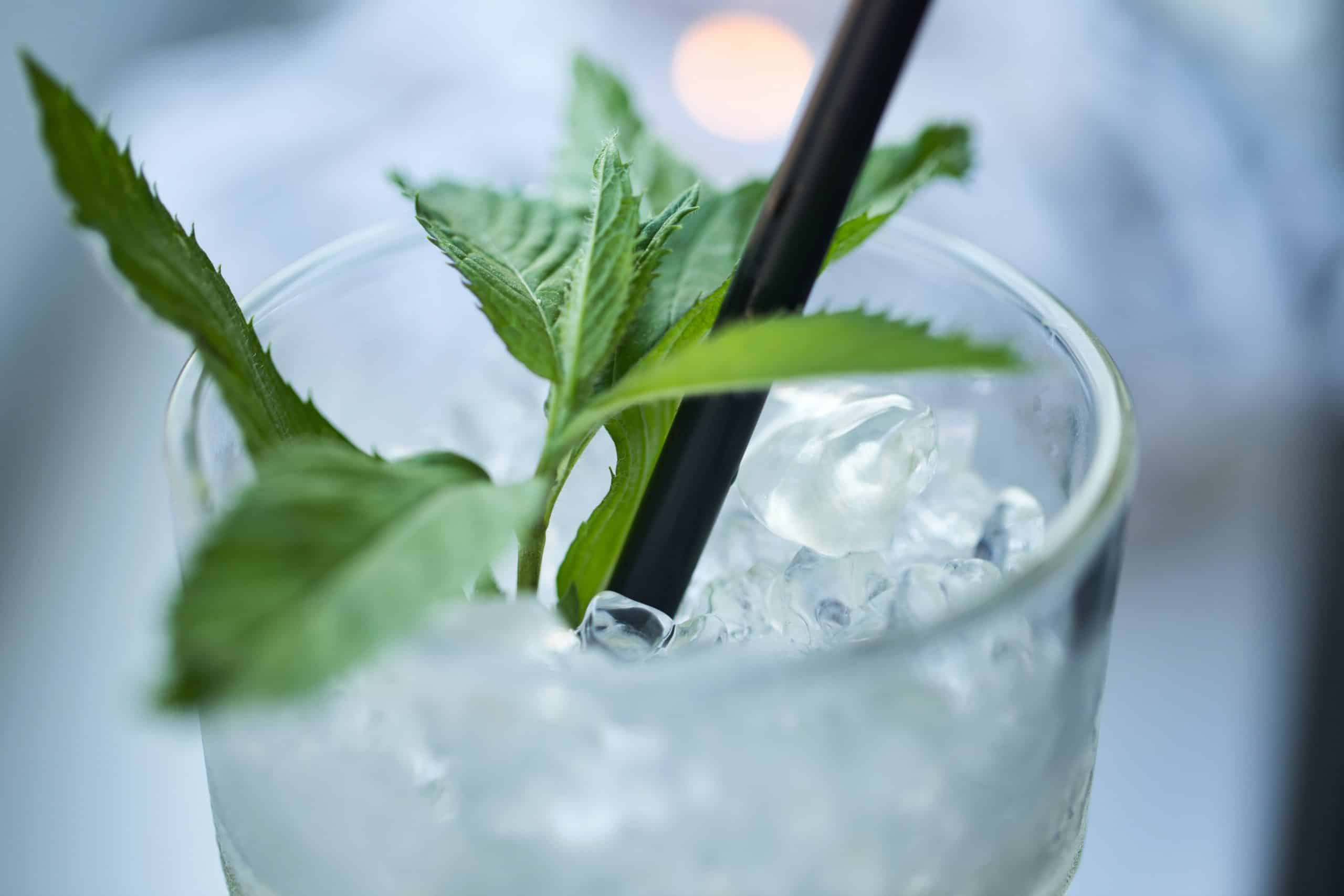Cocktails : quel rhum pour un mojito parfait ? Blog Masculin