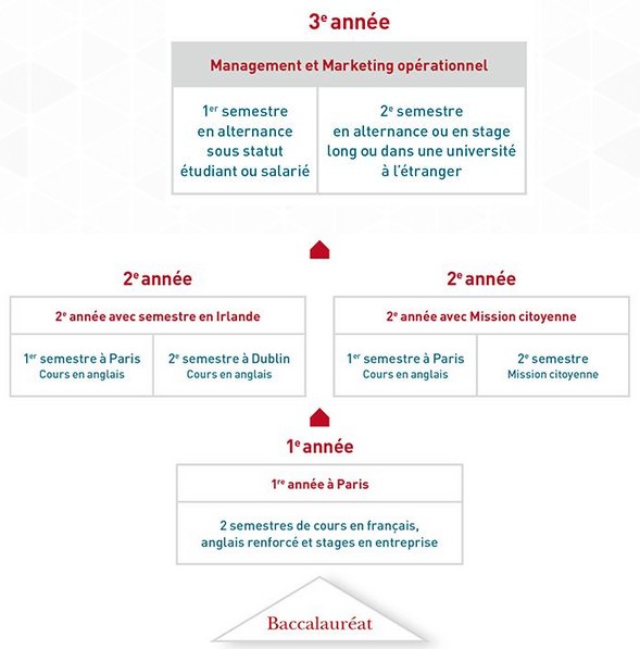 cycle bachelor esa3