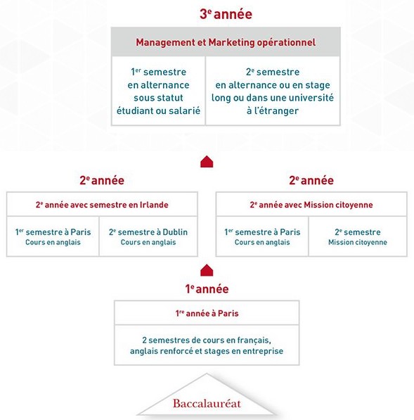 cycle bachelor esa3