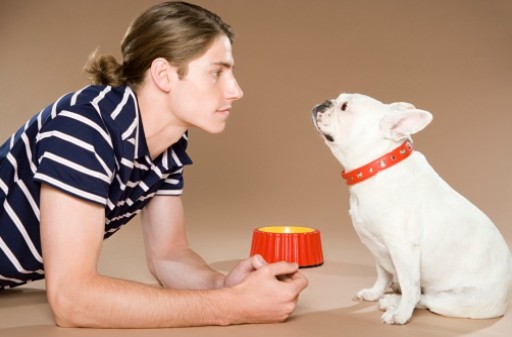 Comment bien nourrir son chien ?