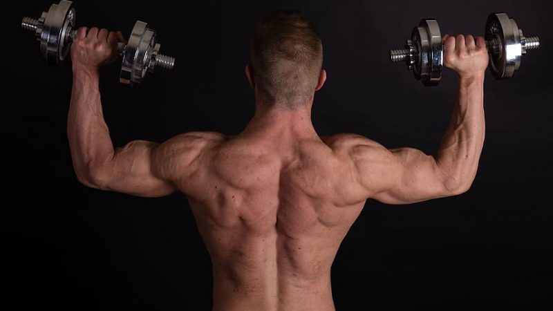 Comment prendre de la masse musculaire ?