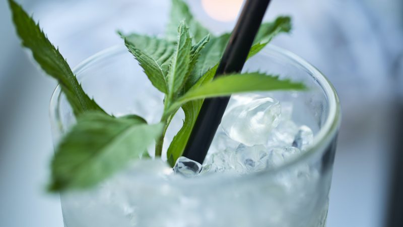 Quel rhum pour un mojito ?