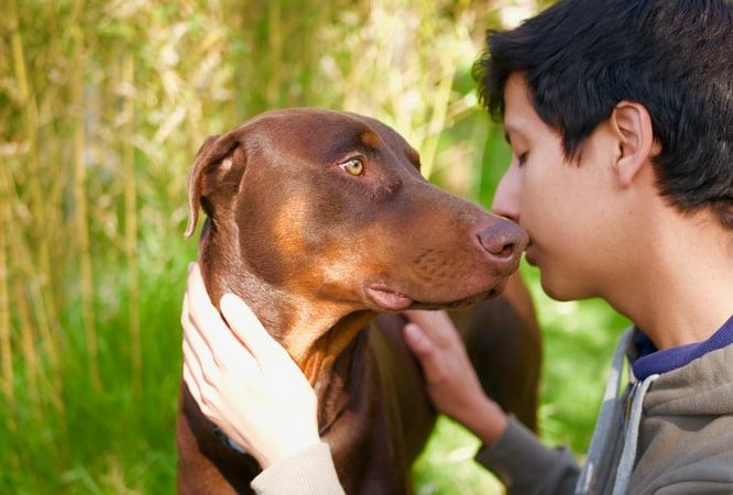 Tout savoir sur la santé du chiot