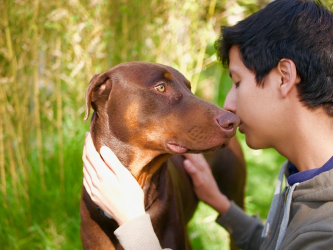 Tout savoir sur la santé du chiot