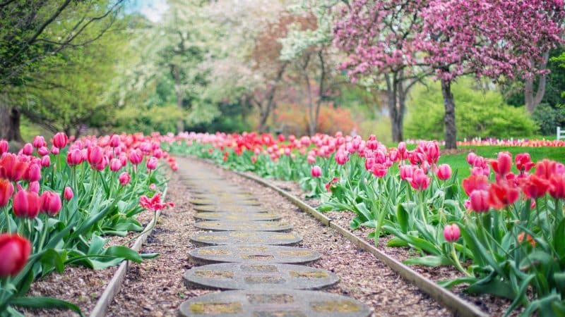 Aménager un petit jardin