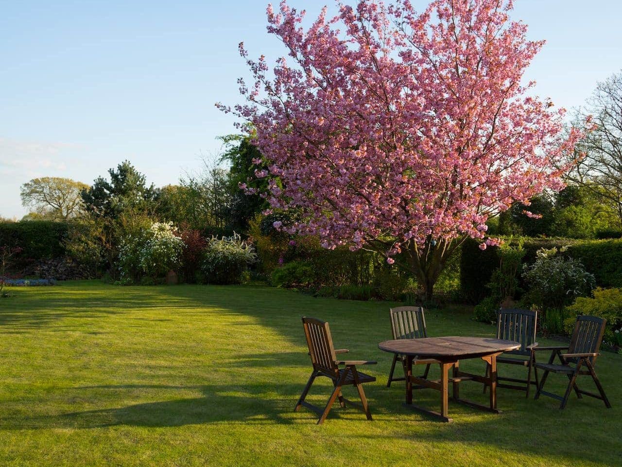 Comment se protéger des regards dans un jardin ?